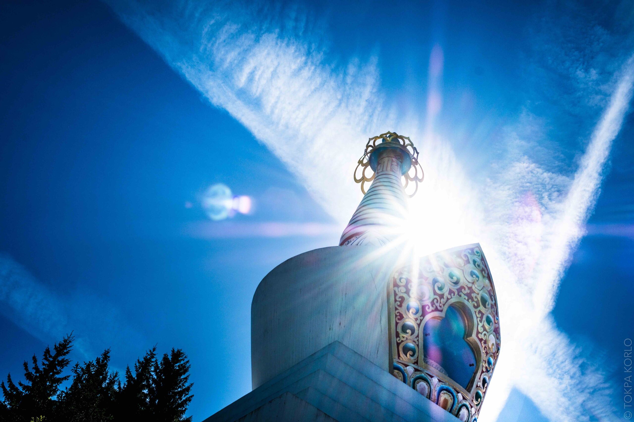 Voeux 2026 et point sur les activités de janvier et février